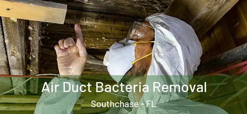  Air Duct Bacteria Removal Southchase - FL