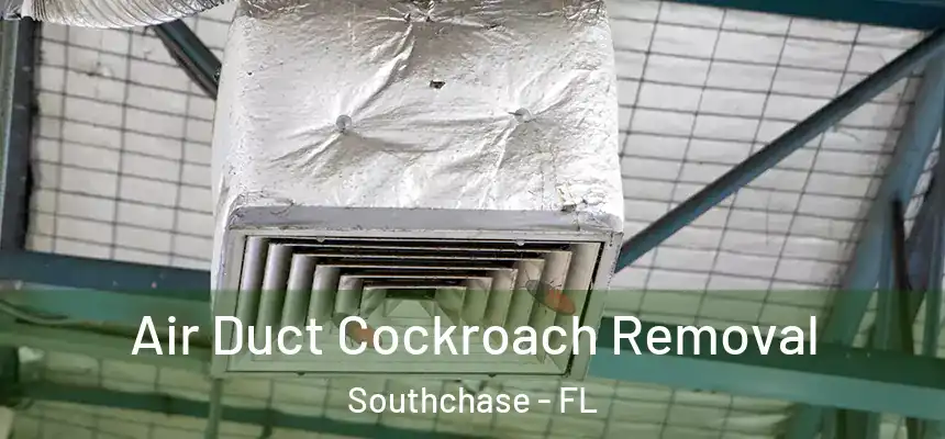  Air Duct Cockroach Removal Southchase - FL