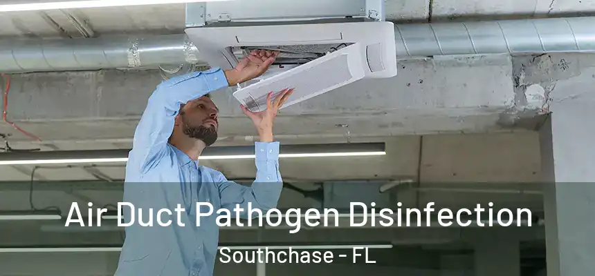 Air Duct Pathogen Disinfection Southchase - FL