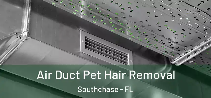  Air Duct Pet Hair Removal Southchase - FL