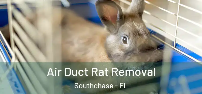 Air Duct Rat Removal Southchase - FL
