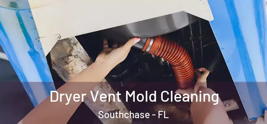  Dryer Vent Mold Cleaning Southchase - FL