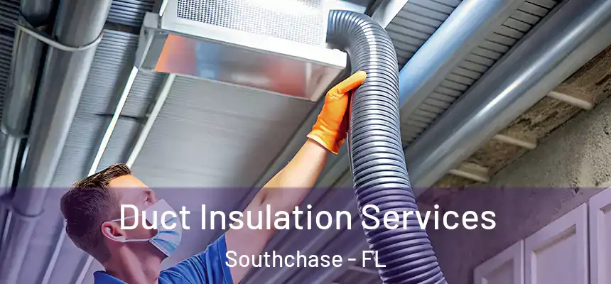Duct Insulation Services Southchase - FL