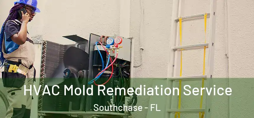  HVAC Mold Remediation Service Southchase - FL