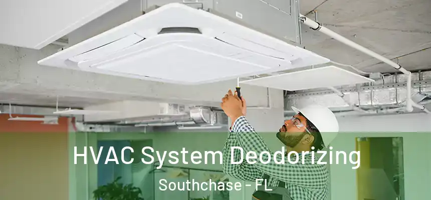  HVAC System Deodorizing Southchase - FL