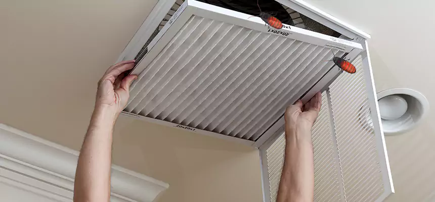 Preventive Cockroach-Proofing for Ducts in Southchase