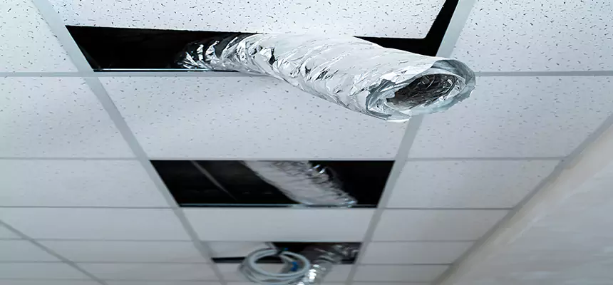 Our Air Duct Pet Hair Removal Services in Southchase, FL