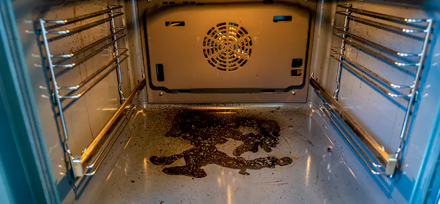 Our Dryer Vent Mold Cleaning Services in Southchase, FL