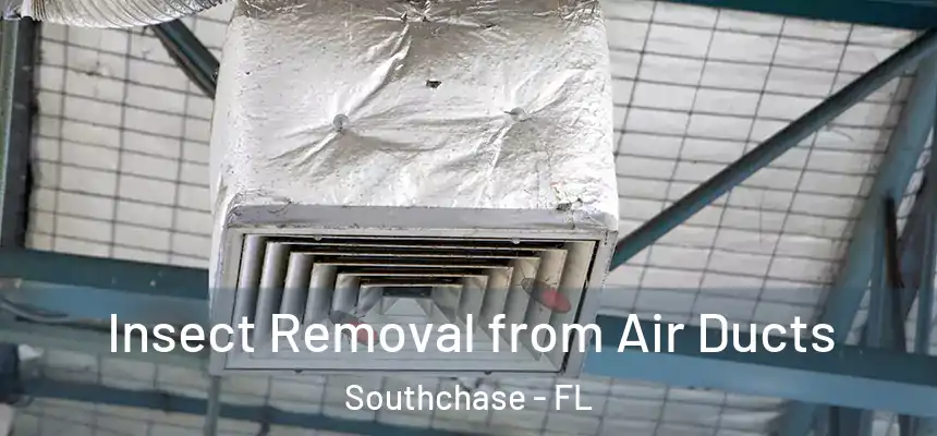  Insect Removal from Air Ducts Southchase - FL