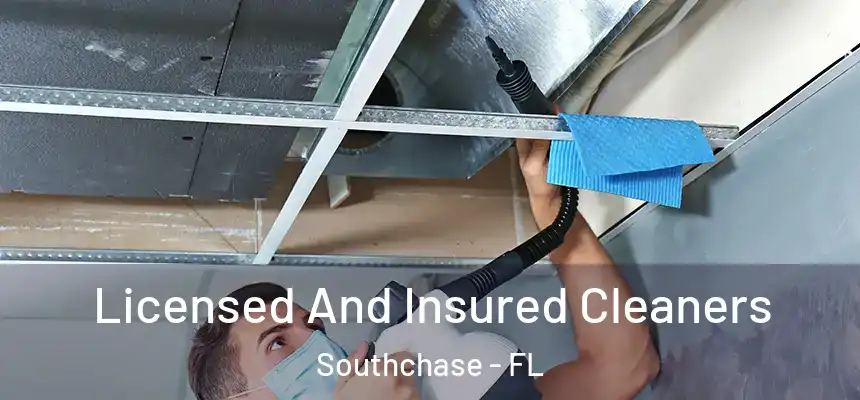  Licensed And Insured Cleaners Southchase - FL