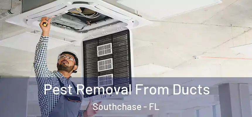 Pest Removal From Ducts Southchase - FL