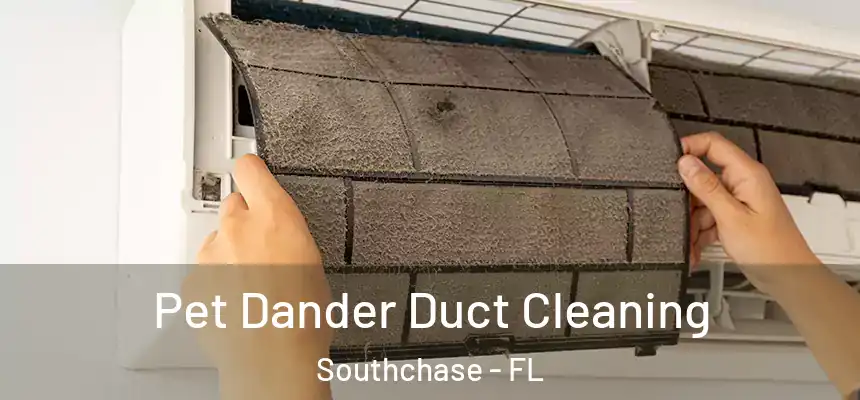  Pet Dander Duct Cleaning Southchase - FL
