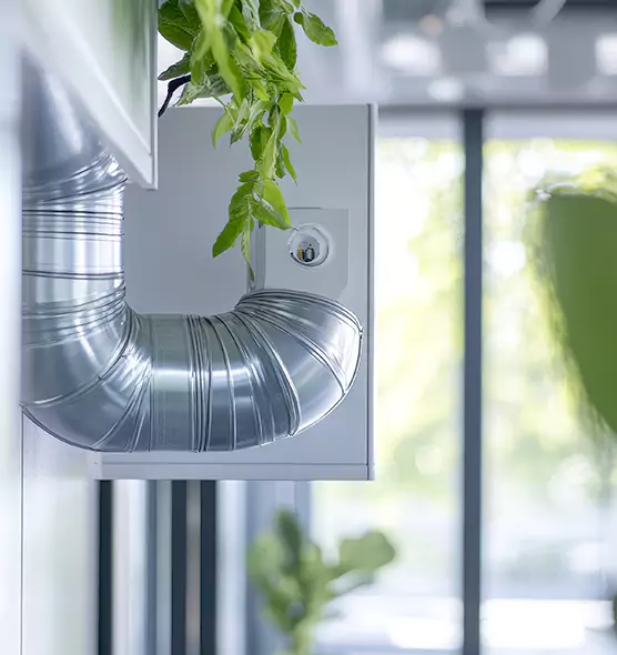 Professional Eco-Safe Dryer Vent Cleaning in Southchase, FL