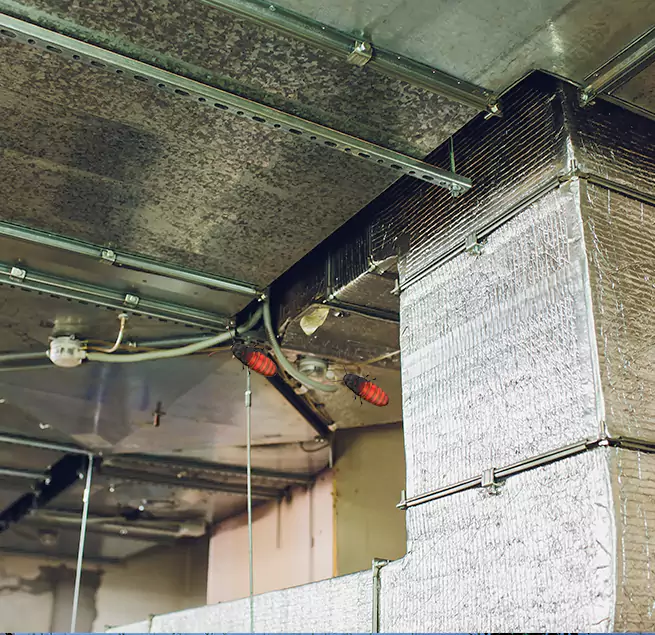 Why Homeowners & Businesses Trust Us in Southchase, FL?