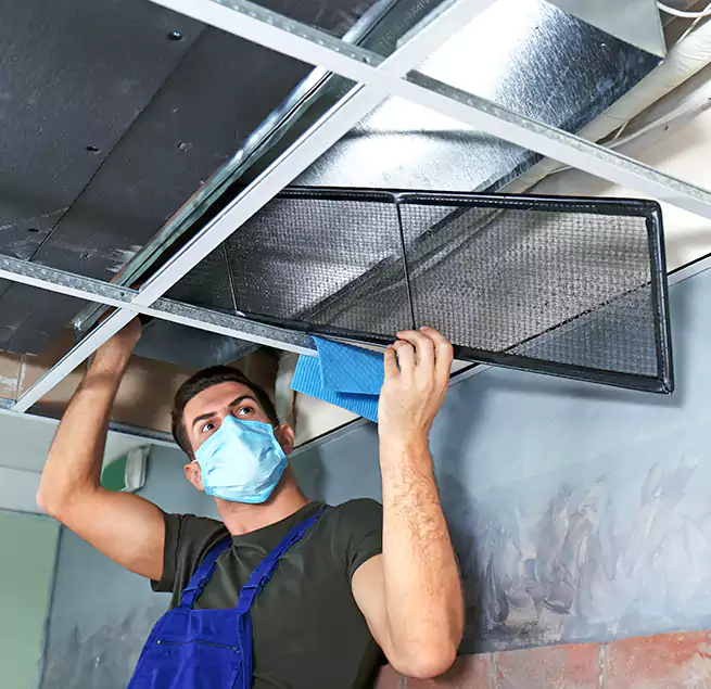 Why Homeowners Businesses Trust Us in Southchase, FL