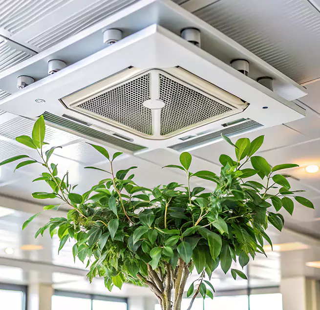 Why Homeowners & Businesses Trust Us in Southchase, FL?