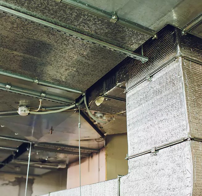 Why Homeowners & Businesses Trust Us in Southchase, FL?